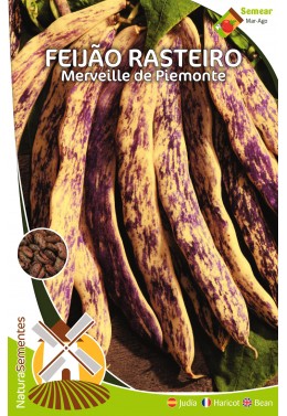 Feijão Rasteiro Merveille de Piemonte