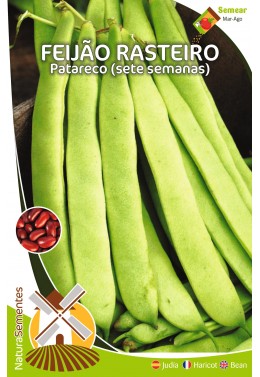 Feijão Rasteiro Patareco (Sete semanas) 