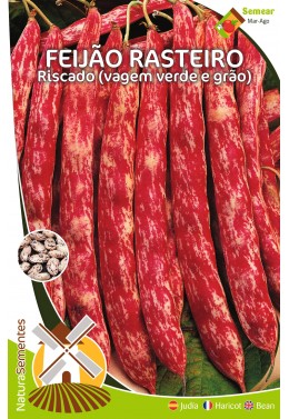 Feijão Rasteiro Riscado (Vagem verde e grão)