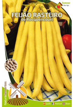 Feijão Rasteiro de Rocquencourt 