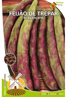 Feijão de Trepar Bragançano 