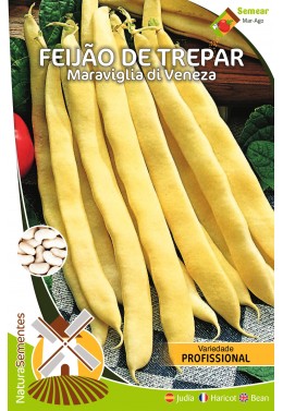 Feijão de Trepar Maraviglia di Veneza (Variedade Profissional) 