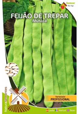 Feijão de Trepar Música (Variedade Profissional) 