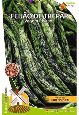 Feijão de Trepar Vagem Riscada (Variedade Profissional) 