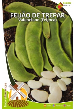 Feijão de Trepar Valenciano (Feijoca)