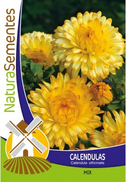 Calendulas mix