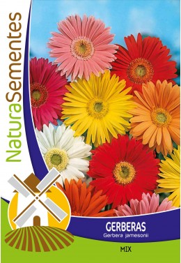 Gerberas mix