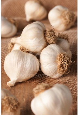 Alho branco (0,5Kg)