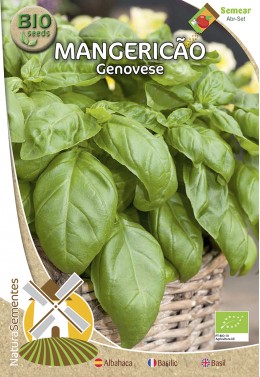Mangericão Genovese
