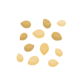 Grande variedade de sementes